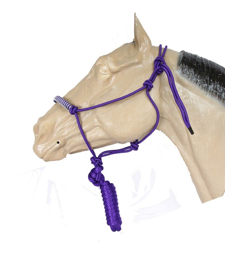 Knotted rope halter with 8" lead in purple