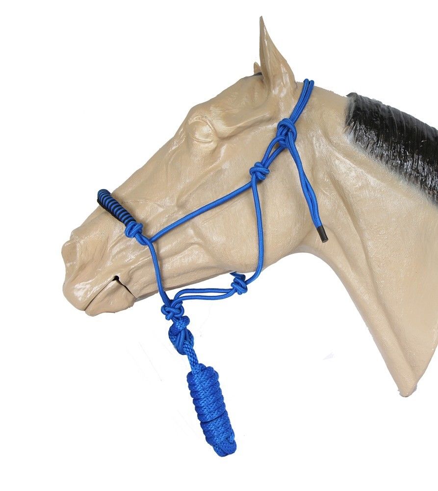 Royal blue knotted rope halter with 8" lead
