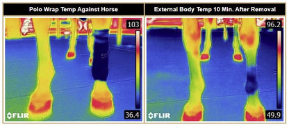 Weaver CoolAid Equine Icing and Cooling Polo Wraps