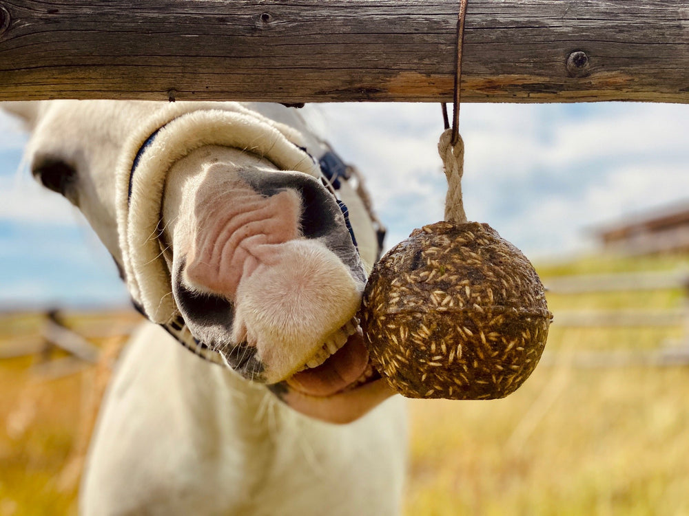 Horse & Herd Nutritional Lick Treat for Horses - Original Blend