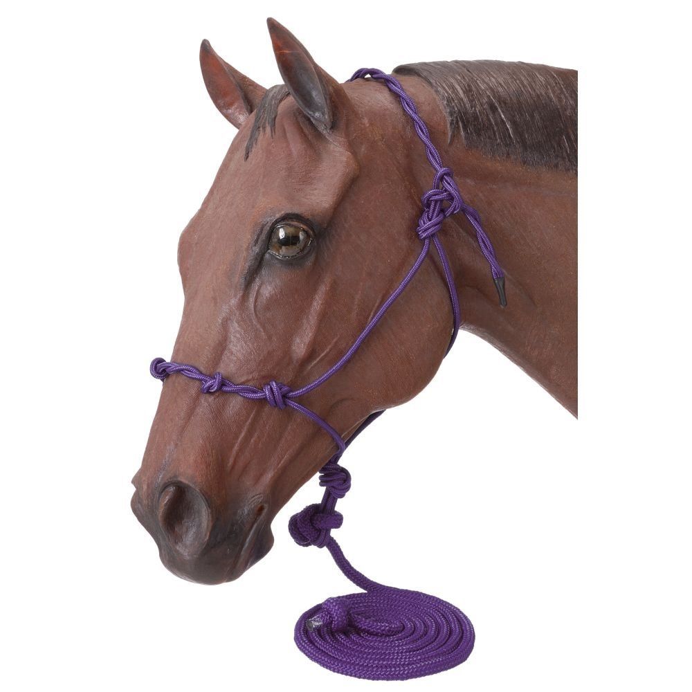 Poly Rope Halter with 14 Foot Lead