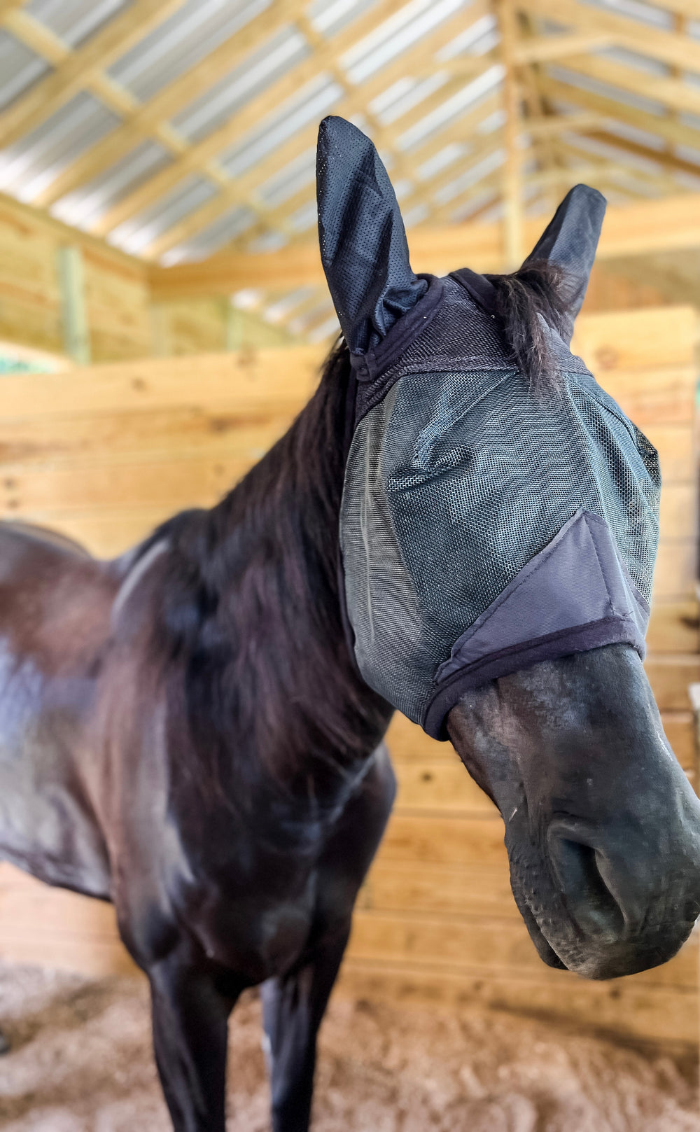 AJ Tack Fly Mask with Ears black